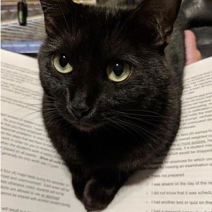 Meet your Posher, Hana